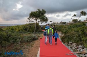 pet-kot-ironman-19_101