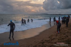 pet-kot-ironman-19_111