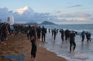 pet-kot-ironman-19_113