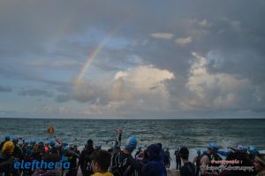 pet-kot-ironman-19_115