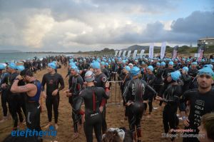 pet-kot-ironman-19_116