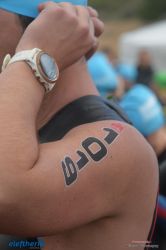 pet-kot-ironman-19_117