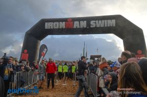 pet-kot-ironman-19_121