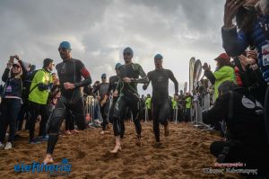 pet-kot-ironman-19_126