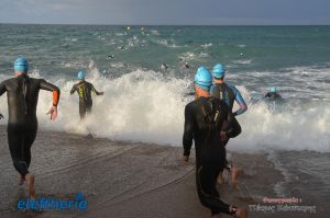 pet-kot-ironman-19_127