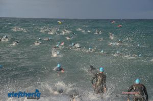 pet-kot-ironman-19_129