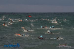 pet-kot-ironman-19_131