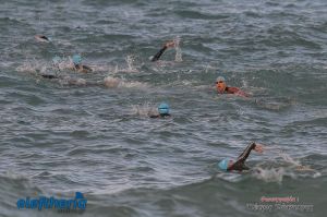 pet-kot-ironman-19_134