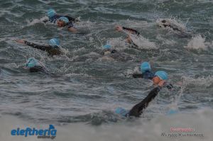 pet-kot-ironman-19_137