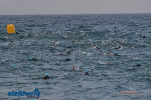 pet-kot-ironman-19_142