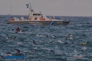 pet-kot-ironman-19_143