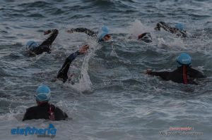 pet-kot-ironman-19_144