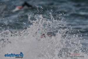 pet-kot-ironman-19_152