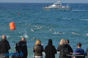 pet-kot-ironman-19_156