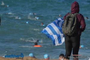 pet-kot-ironman-19_157