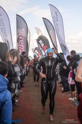 pet-kot-ironman-19_159