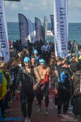 pet-kot-ironman-19_165