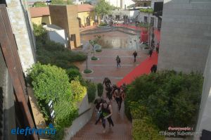 pet-kot-ironman-19_172