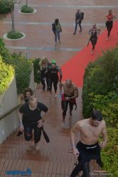 pet-kot-ironman-19_173