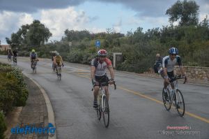 pet-kot-ironman-19_185