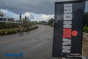 pet-kot-ironman-19_186