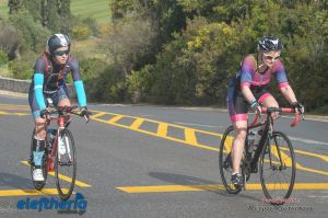 pet-kot-ironman-19_190