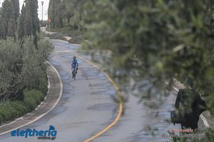 pet-kot-ironman-19_197