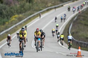 pet-kot-ironman-19_205