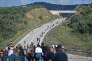 pet-kot-ironman-19_209