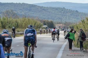 pet-kot-ironman-19_214