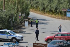 pet-kot-ironman-19_215