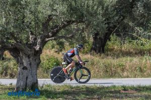 pet-kot-ironman-19_217