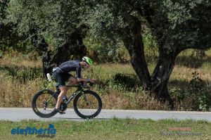 pet-kot-ironman-19_221