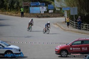 pet-kot-ironman-19_222