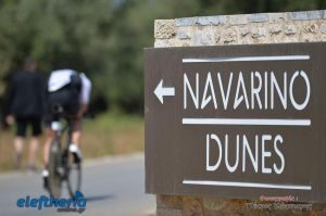 pet-kot-ironman-19_224