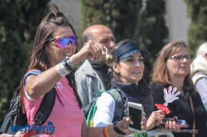 pet-kot-ironman-19_231