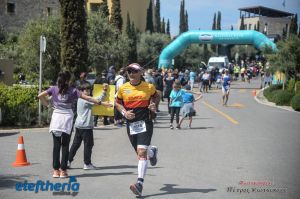 pet-kot-ironman-19_232