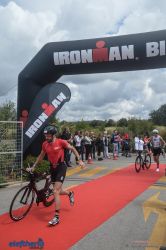 pet-kot-ironman-19_239