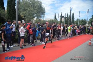 pet-kot-ironman-19_247