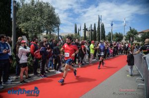 pet-kot-ironman-19_248