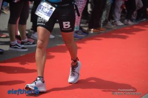 pet-kot-ironman-19_249