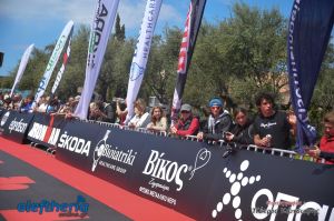 pet-kot-ironman-19_254