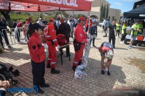 pet-kot-ironman-19_257