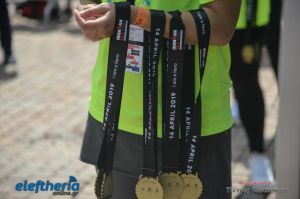 pet-kot-ironman-19_266