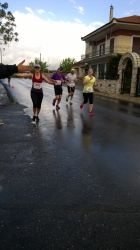 WP_20160410_09_59_08_Pro