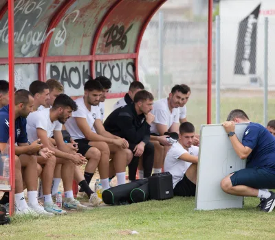 asteras karditsas - miltiadhs 1