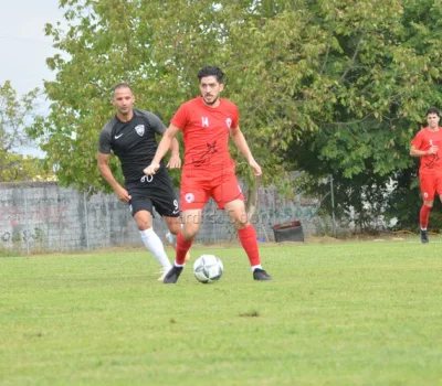 asteras karditsas-miltiadhs 6