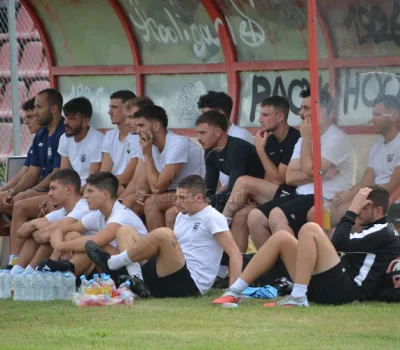 asteras karditsas-miltiadhs 8
