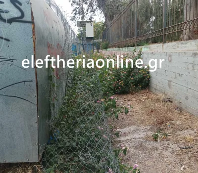 eferfref