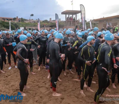 pet-kot-ironman-19_119
